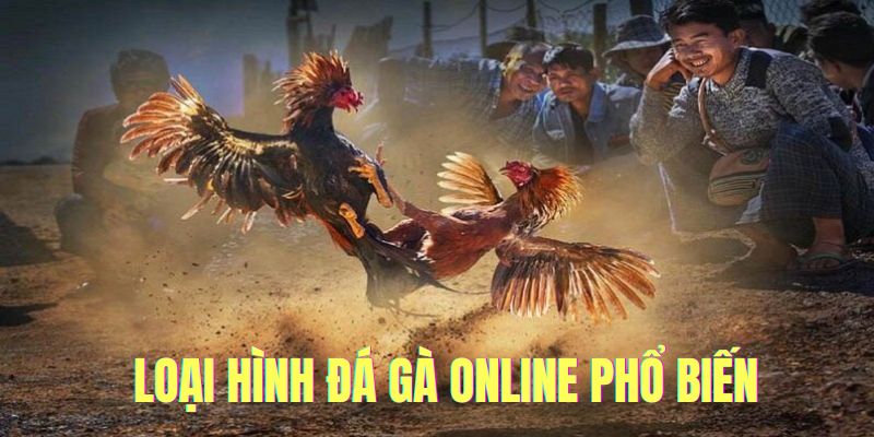 Đá gà online loại hình giải trí thú vị 